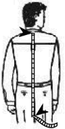 Shirt Length