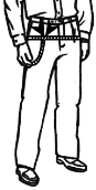 Hips
