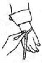 Wrist / Cuff